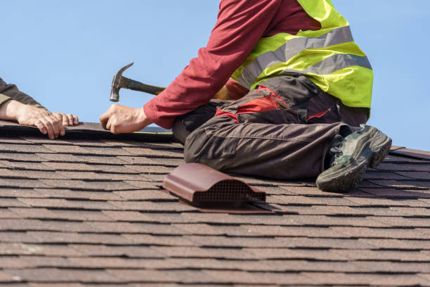 Best Roof Waterproofing Services  in Raymond, IL