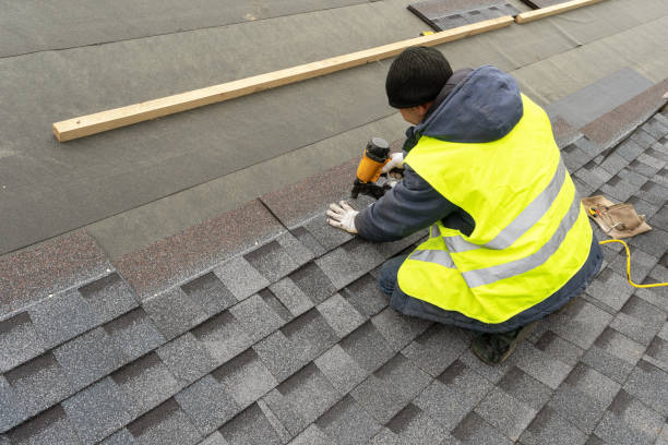 Best Metal Roofing Contractor  in Raymond, IL