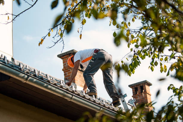 Best Storm Damage Roof Repair  in Raymond, IL