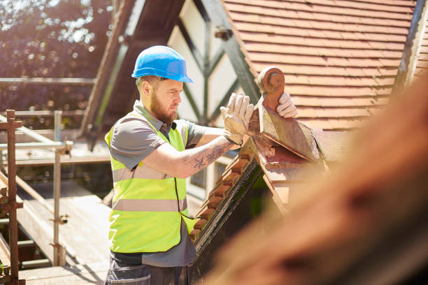 Professional Roofing Contractor in Raymond, IL